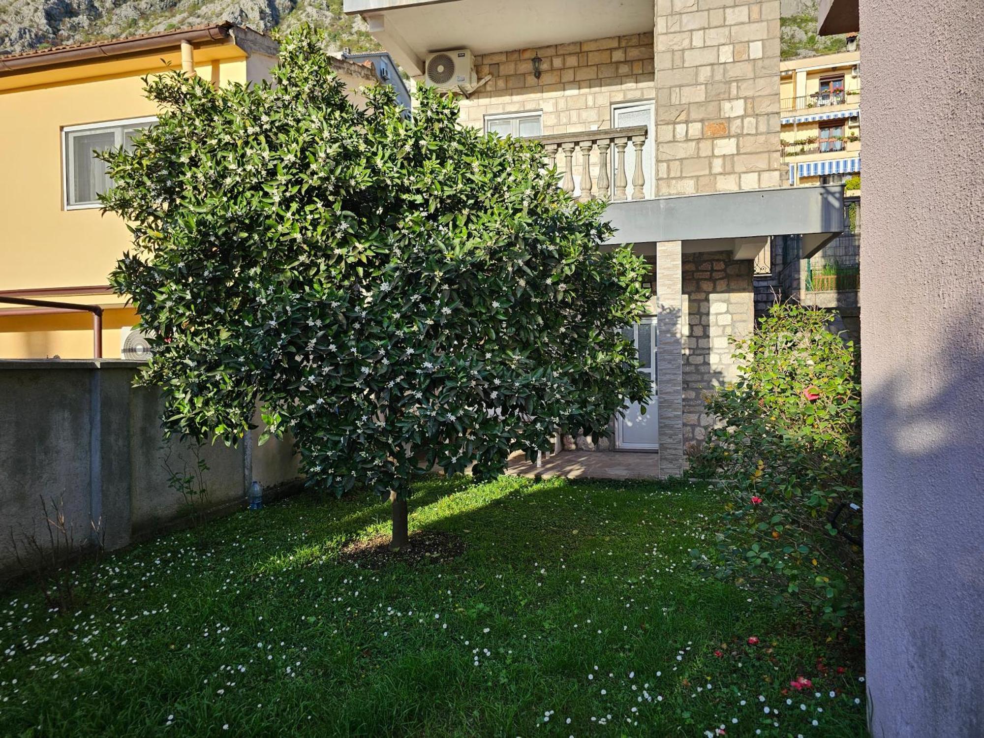 Modern Seaside Escape - Stunning Sea View - Private & Stylish Kotor